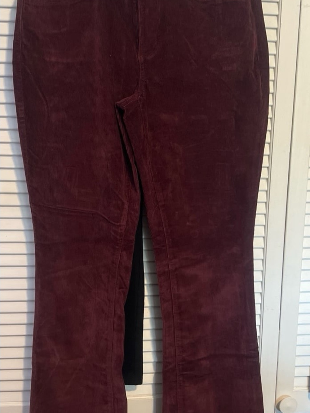 SONOMA Bootcut Corduroy Pants in Burgundy 12 (6) (CP)